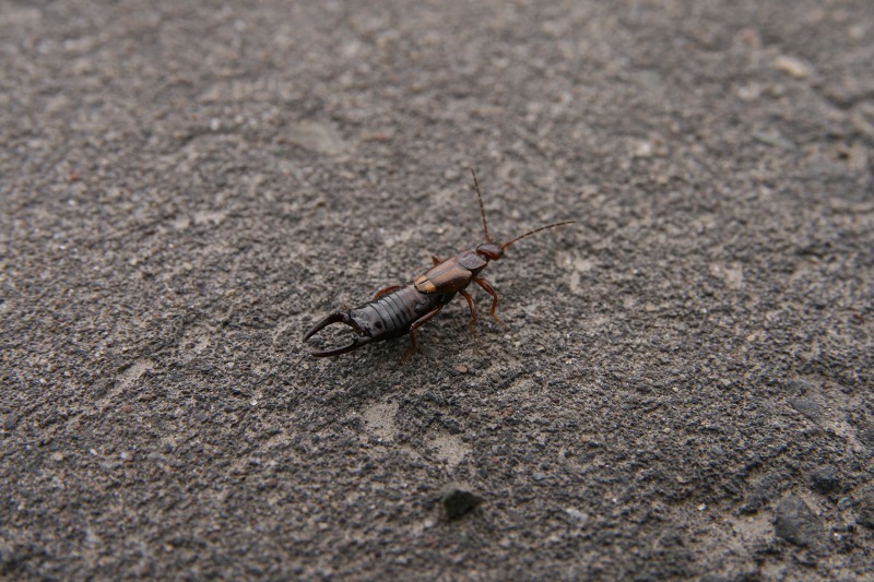 ファイル 179-4.jpg