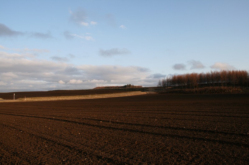 ファイル 180-2.jpg