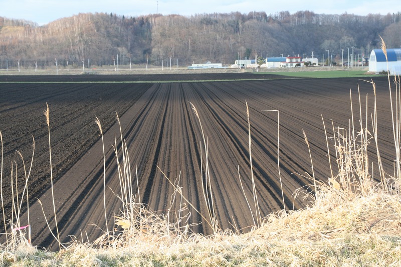 ファイル 180-3.jpg