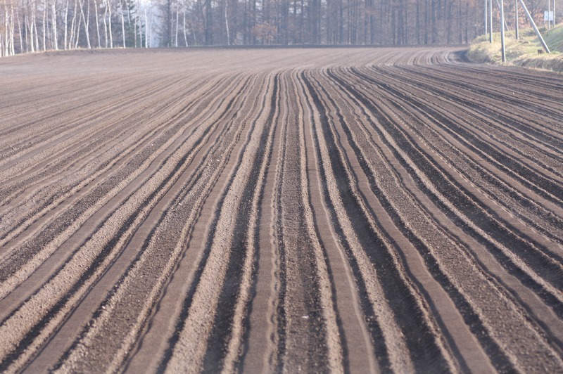 ファイル 182-1.jpg