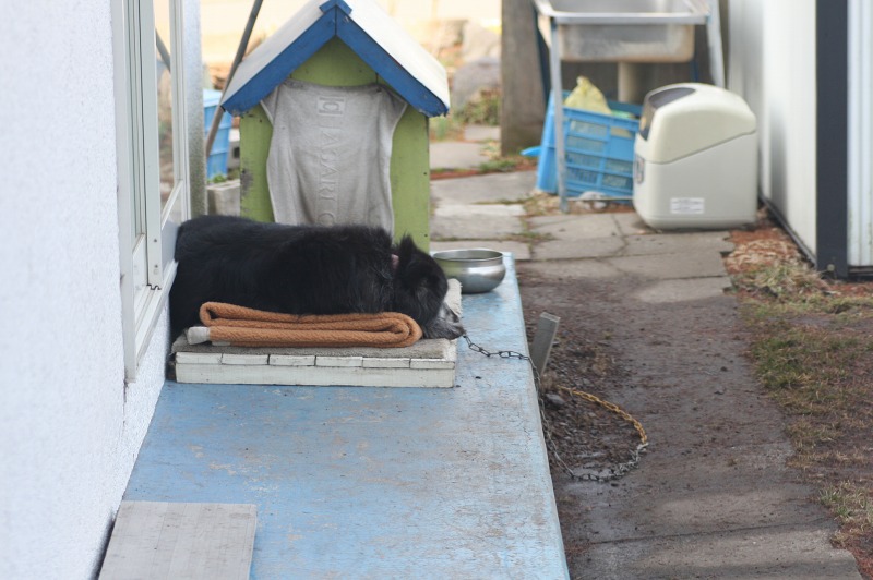 ファイル 182-4.jpg