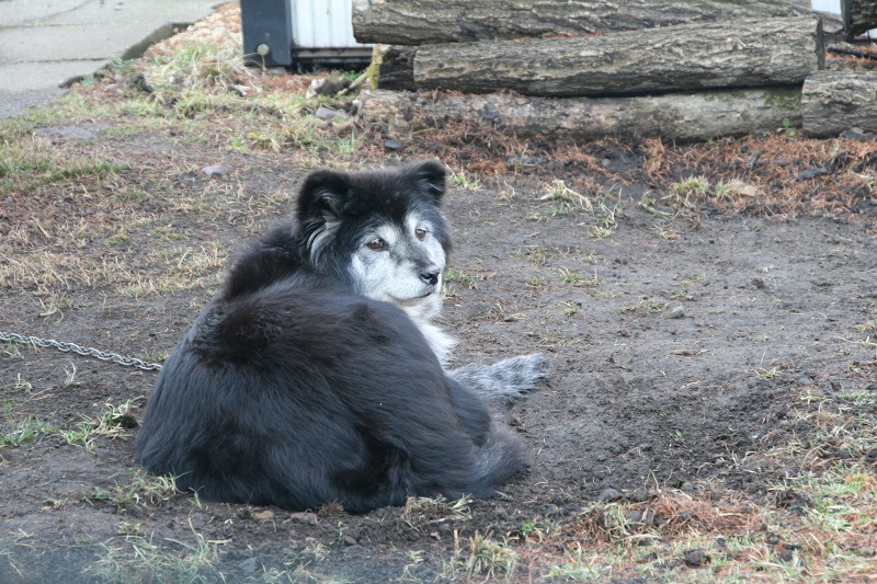 ファイル 182-5.jpg