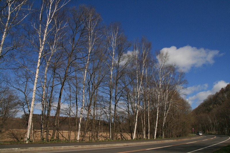 ファイル 183-4.jpg