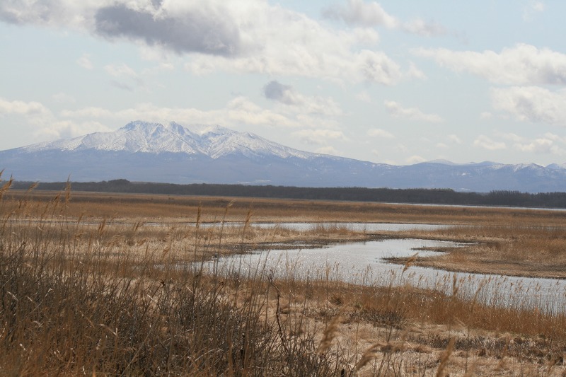 ファイル 184-5.jpg