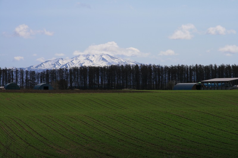 ファイル 185-1.jpg