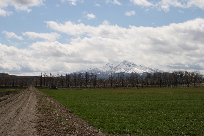 ファイル 186-1.jpg