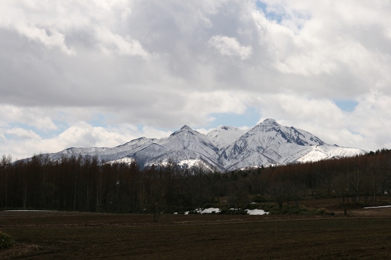 ファイル 187-5.jpg