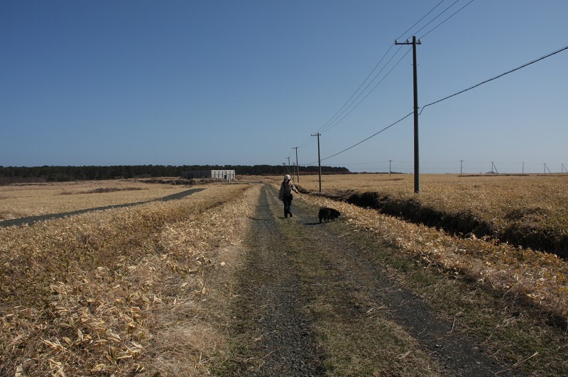 ファイル 191-1.jpg