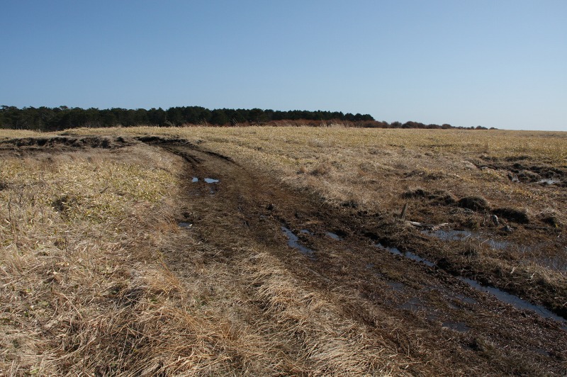 ファイル 191-2.jpg