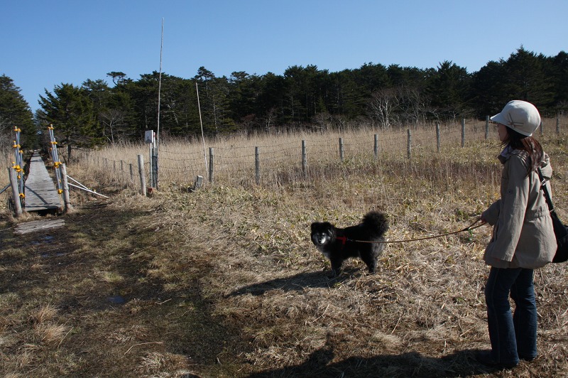 ファイル 191-3.jpg