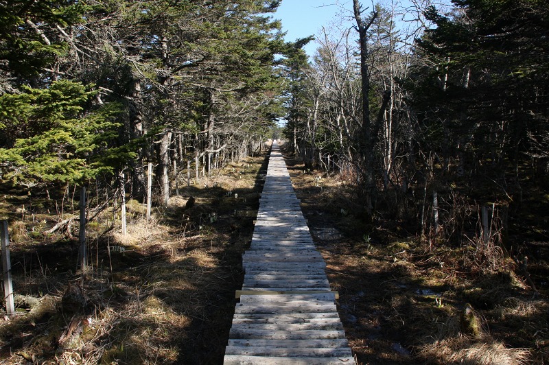 ファイル 191-4.jpg