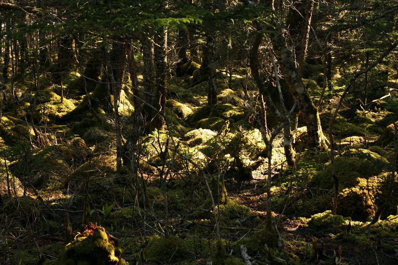 ファイル 191-5.jpg