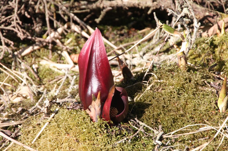 ファイル 192-2.jpg