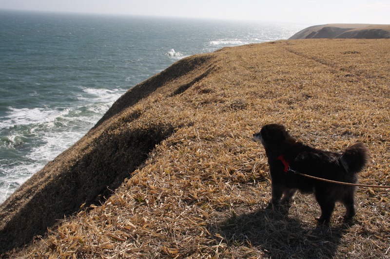 ファイル 192-4.jpg