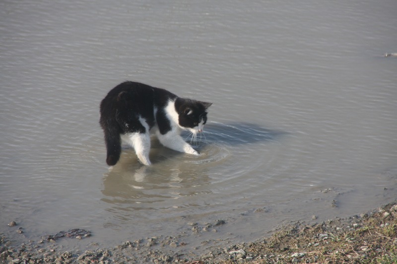 ファイル 195-3.jpg