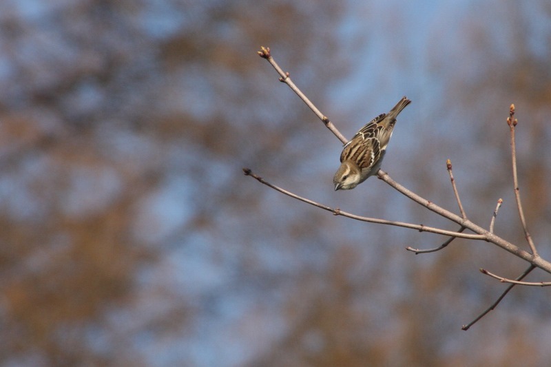 ファイル 198-2.jpg