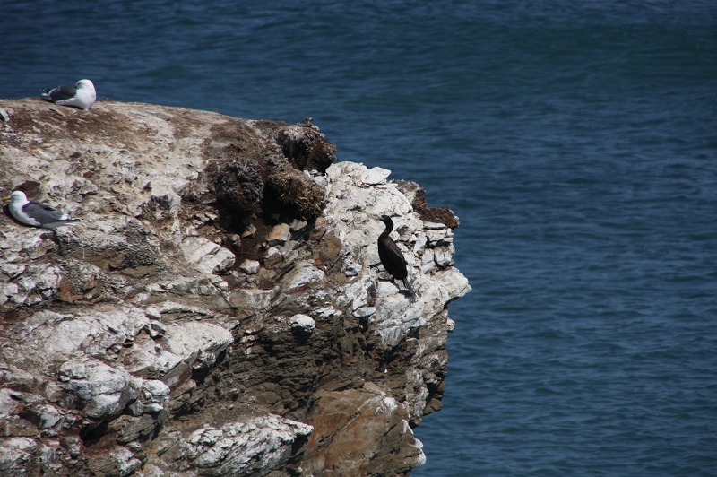 ファイル 199-4.jpg