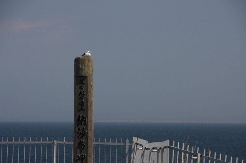 ファイル 199-5.jpg