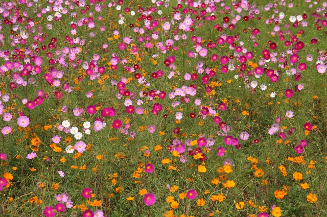 ファイル 20-2.jpg