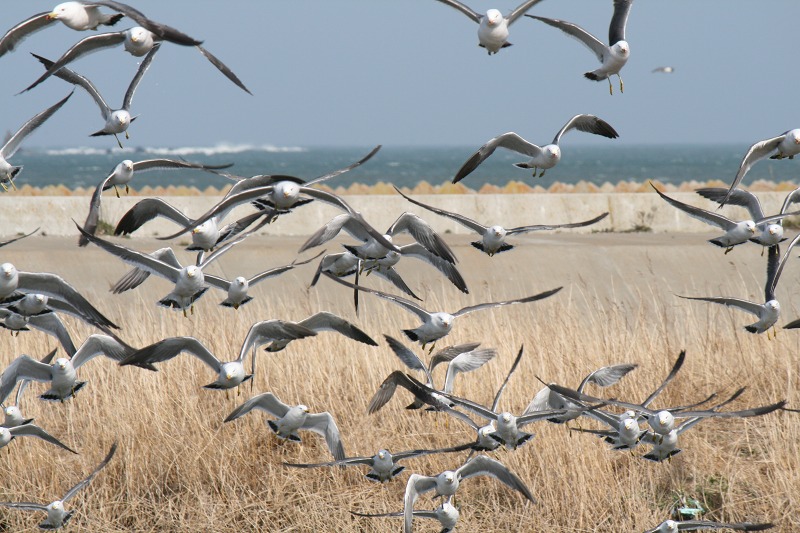 ファイル 200-2.jpg