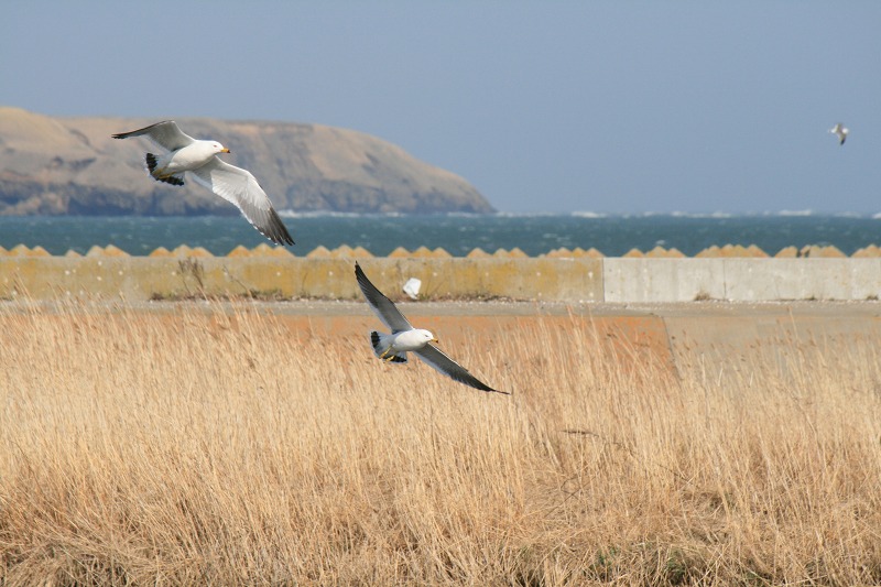 ファイル 200-3.jpg