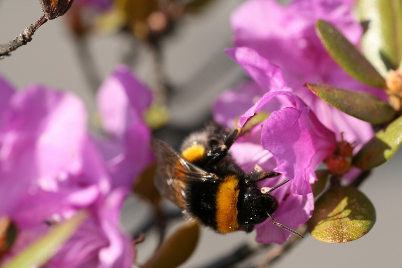 ファイル 202-2.jpg