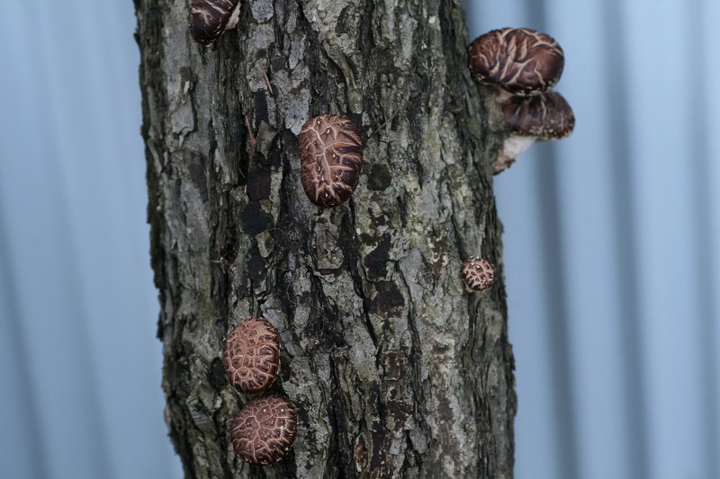 ファイル 202-3.jpg