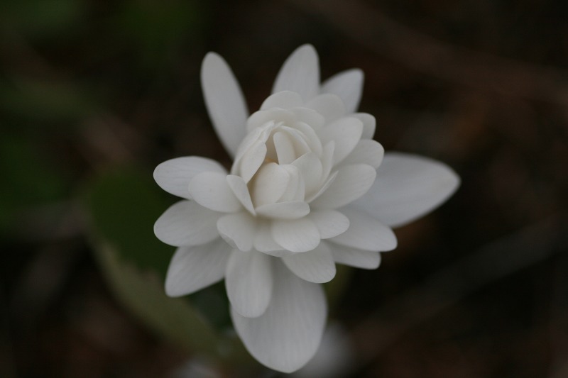 ファイル 202-5.jpg