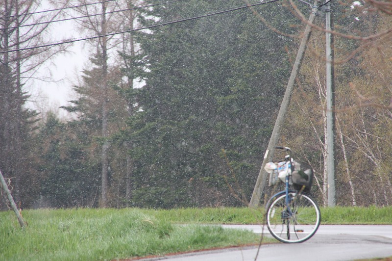 ファイル 203-1.jpg