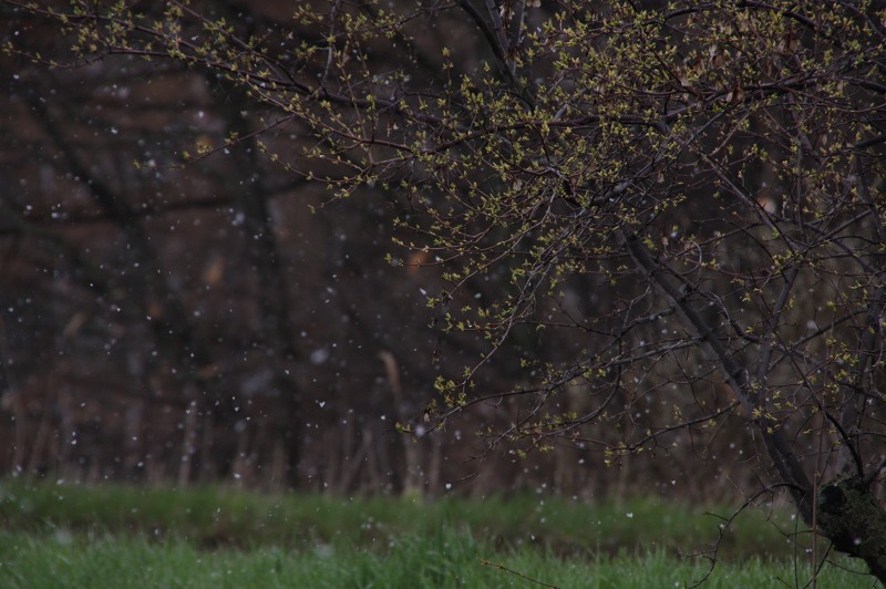 ファイル 203-2.jpg