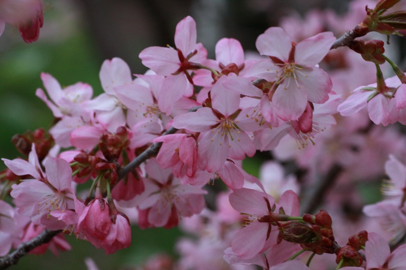 ファイル 205-2.jpg