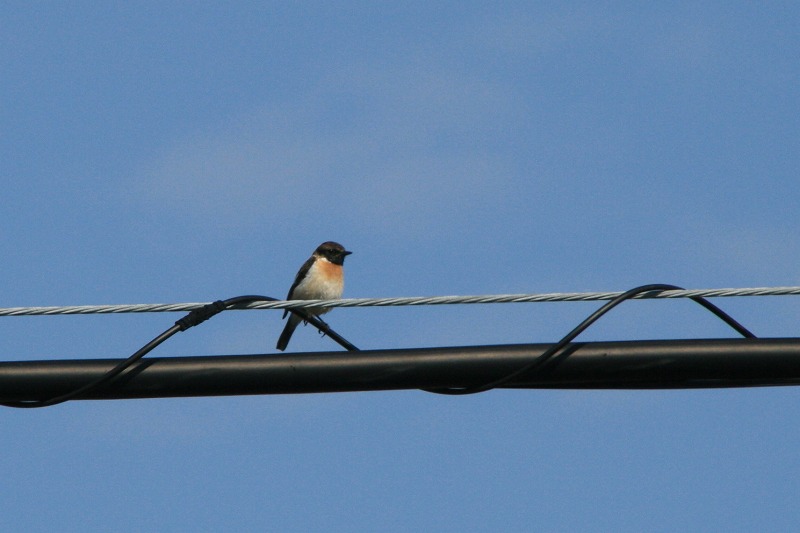 ファイル 206-1.jpg