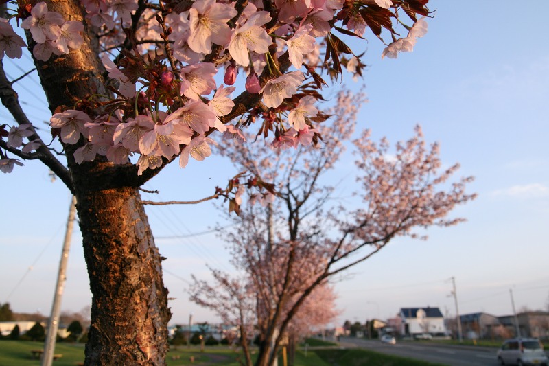 ファイル 206-3.jpg