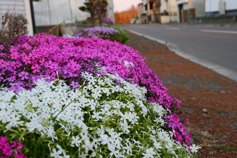 ファイル 206-5.jpg