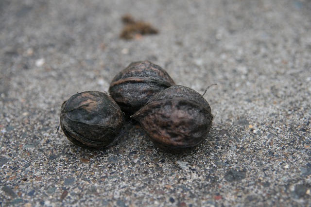 ファイル 22-3.jpg