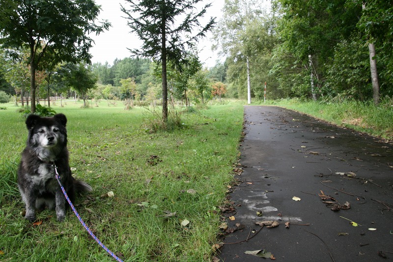 ファイル 23-2.jpg