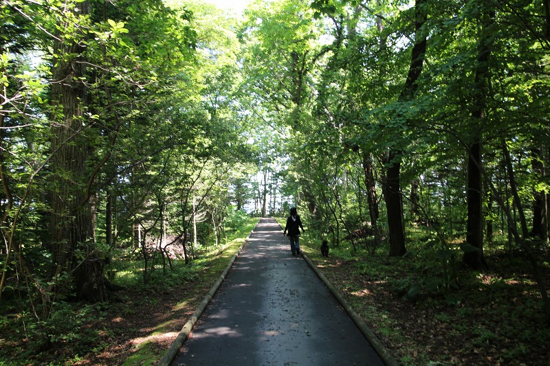 ファイル 253-2.jpg