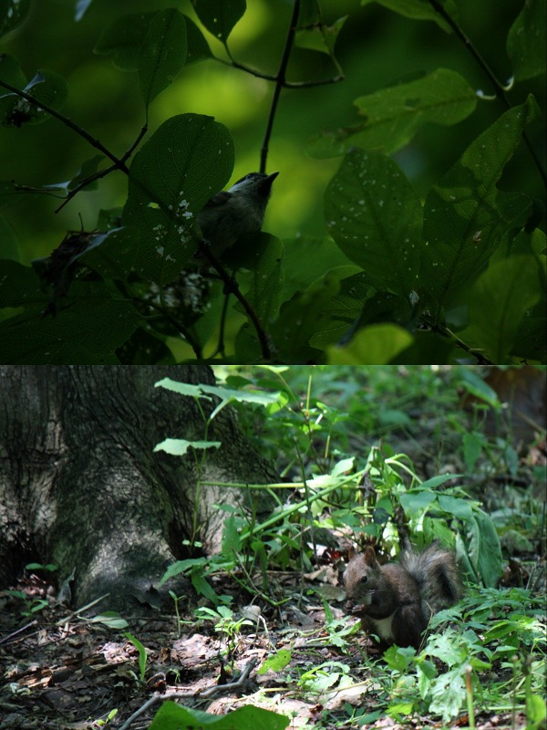 ファイル 253-4.jpg