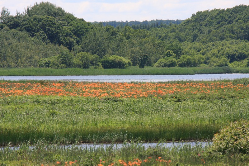 ファイル 254-1.jpg