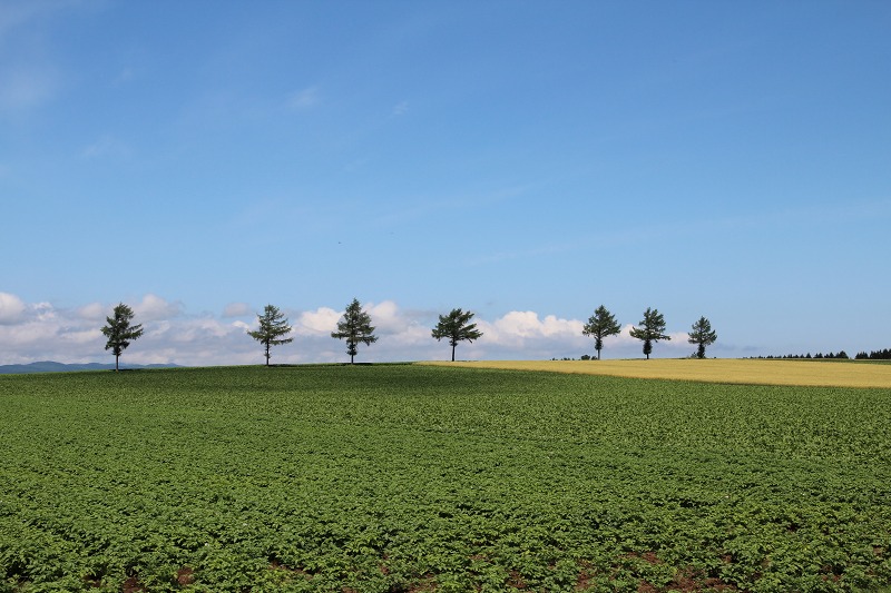 ファイル 255-1.jpg