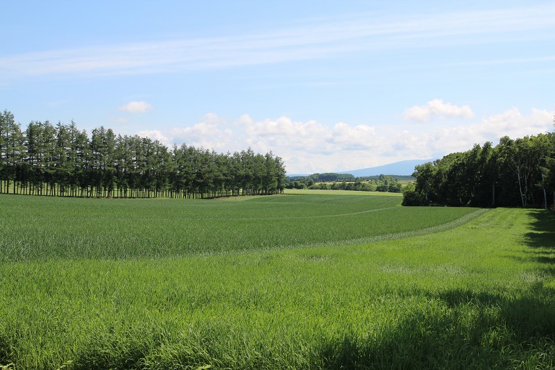 ファイル 255-2.jpg