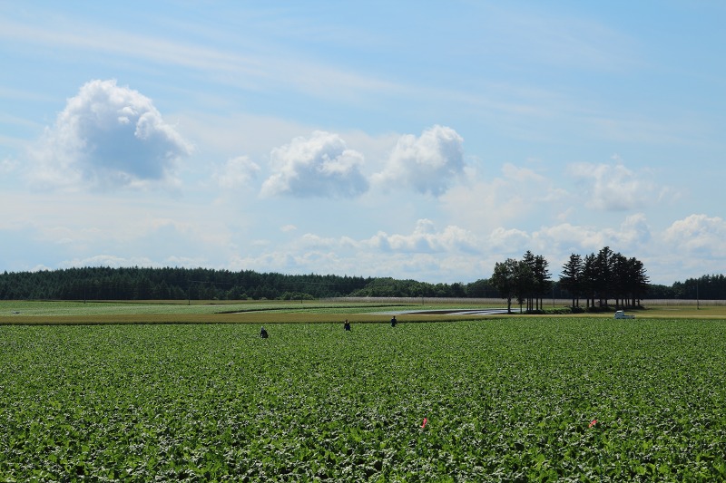 ファイル 255-4.jpg