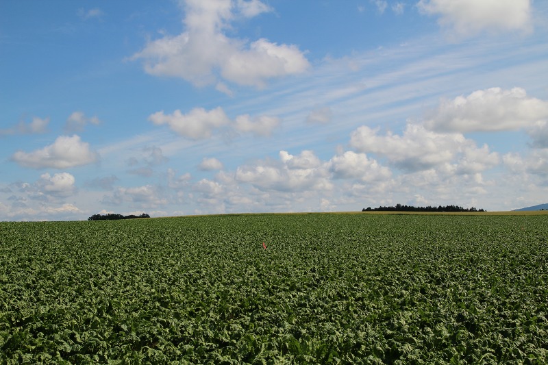 ファイル 255-5.jpg