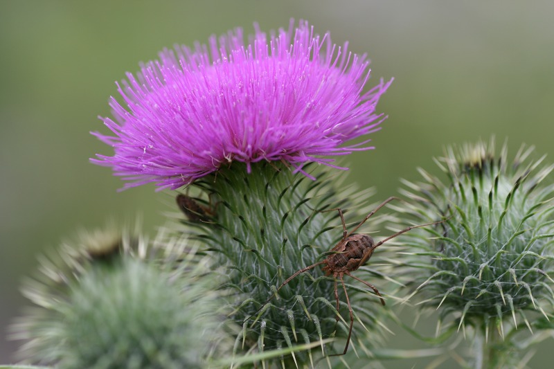 ファイル 256-1.jpg