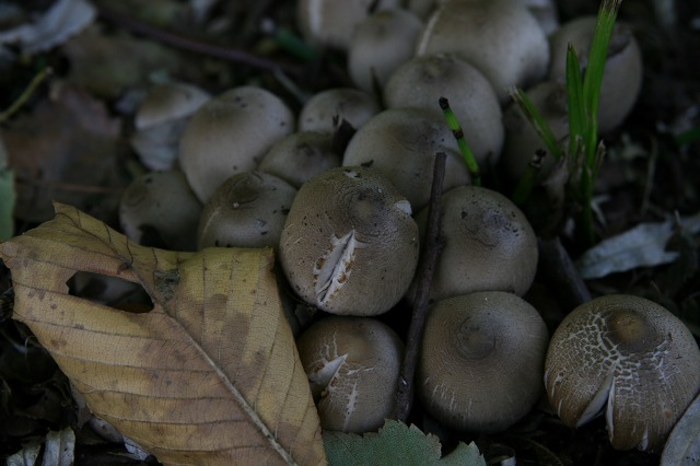 ファイル 28-3.jpg