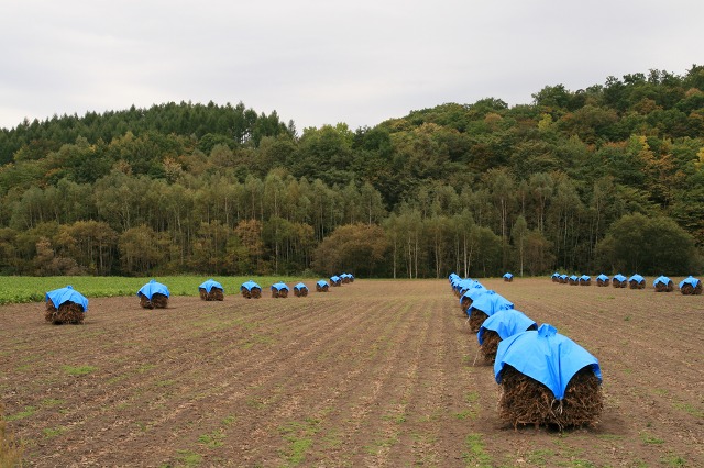 ファイル 29-1.jpg