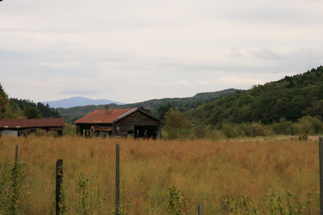 ファイル 29-2.jpg