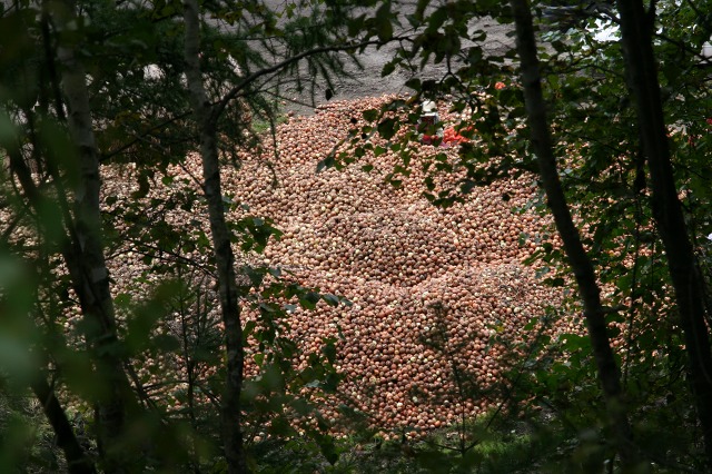 ファイル 29-5.jpg