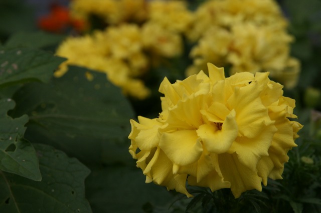 ファイル 30-1.jpg