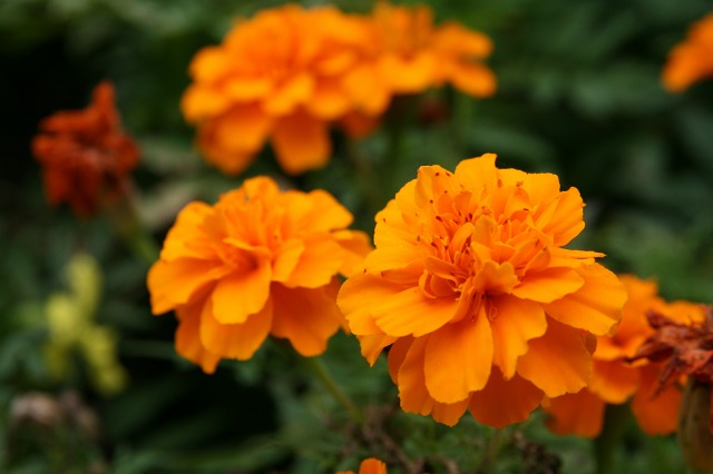 ファイル 30-2.jpg